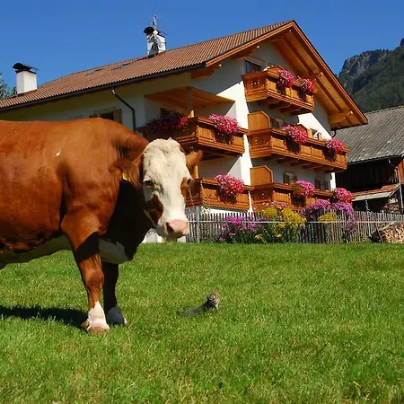 Bauernhof Singerhof Kastelruth